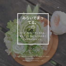 胶片摄影日系和风文艺折纸公众号配图