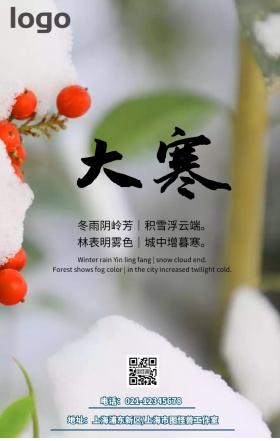 文艺清新简约大气蓝色传统大寒节气手机海报