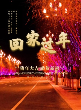 红色喜庆立体字2019回家过年新年海报