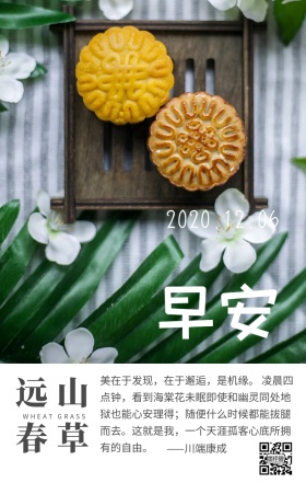 绿色清新山脉草地励志日签
