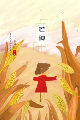 芒种稻谷蜻蜓公众号封面配图