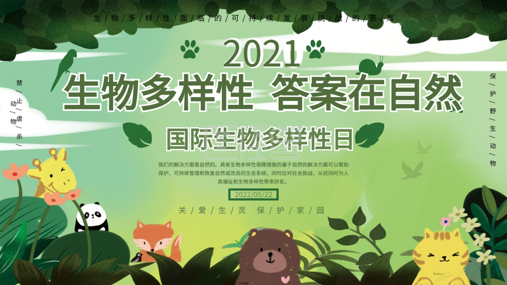 国际生物多样性环境保护公益宣传展板