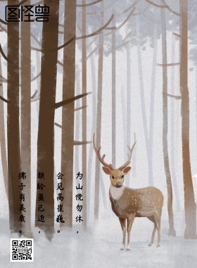 大寒节气宣传海报