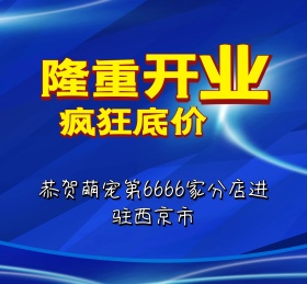 萌宠宠物可爱动物朋友圈封面