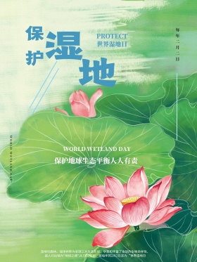 蓝色天空湖泊保护环境世界湿地节节日海报