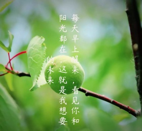 情侣日常浪漫玻璃杯爱情夜色朋友圈封面