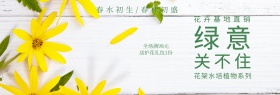 植物花卉简约大气促销活动淘宝海报模板