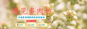 小清新手绘遇见多肉坊淘宝海报banner电商