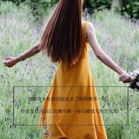 繁华一世文艺小清新简约公众号正方形配图