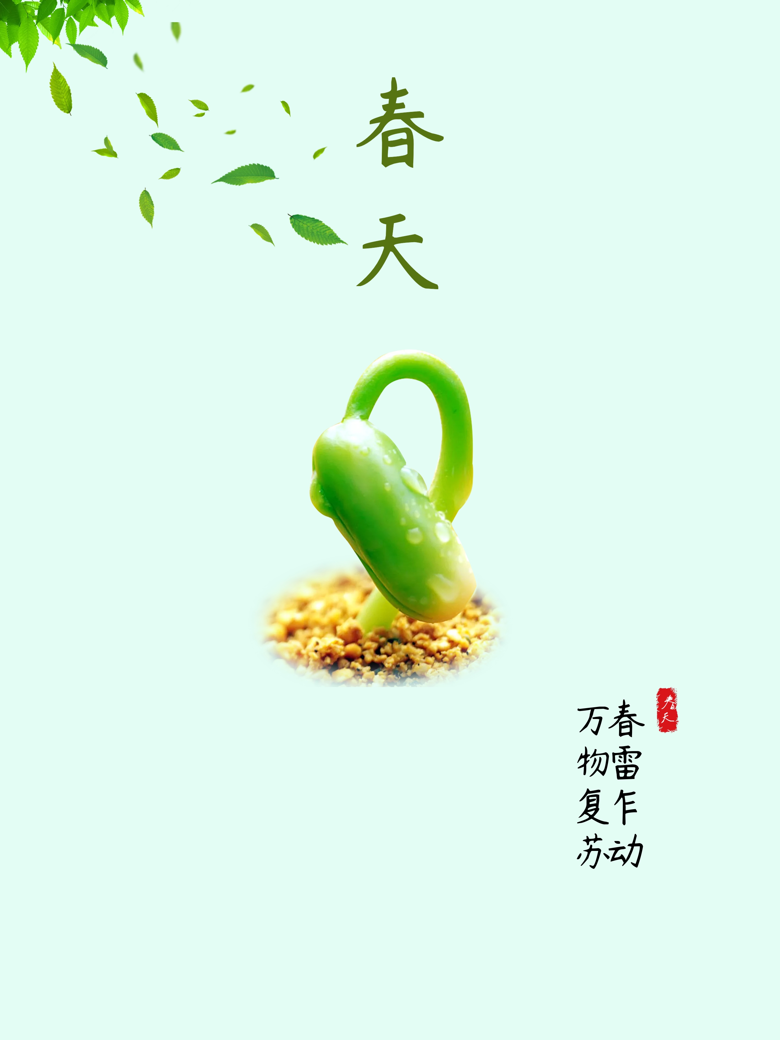 嫩芽