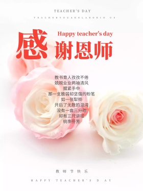 唯美简约感谢恩师康乃馨信笺教师节温馨海报