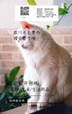 可爱萌宠日签