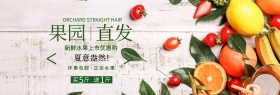 电商淘宝夏季美食果园直发新鲜水果促销海报