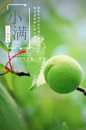 小满二十节气作物摄影公众号配图