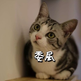小狗委屈难过恶搞心情白色手机表情包