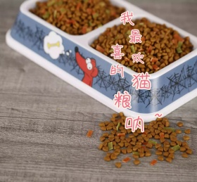 猫咪猫粮朋友圈封面