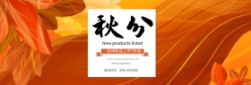 天猫淘宝电商秋季服装鞋类新品促销活动优惠海报banner模板