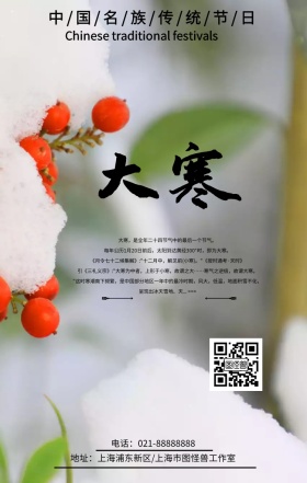 大寒简约唯美手机海报