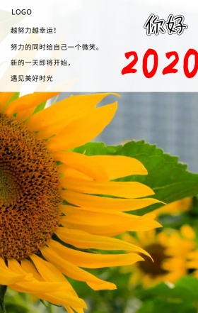  你好 越努力越幸运！ 努力的同时给自己一个微笑。 新的一天即将开始， 遇见美好时光 你好2019