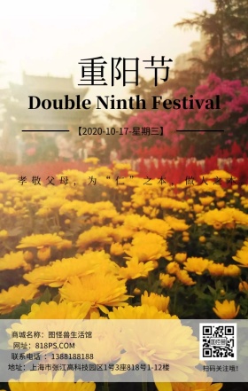 重阳节节日菊花黄色文艺简约日签