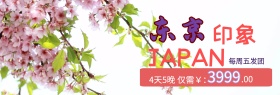 粉蓝色东京印象日本旅游淘宝电商海报模板