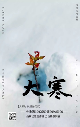 二十四节气大寒优惠海报