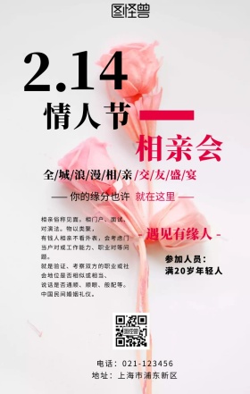 2.14情人节相亲会手机海报