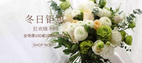 简约鲜花花瓶秋冬特惠banner