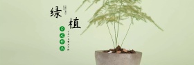 小清新桌面绿色植物猫咪多肉绿植促销海报banner