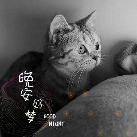晚安好梦微博手机封面