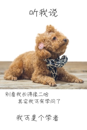 小狗的学问红包公众号配图