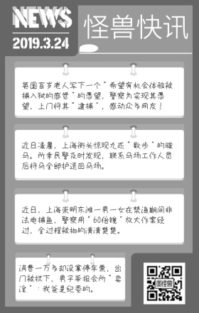 早报快讯模式灰色简约大气日签