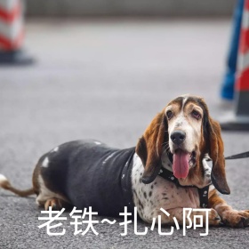 猫星人扎心难过皱眉可爱恶搞手机表情包