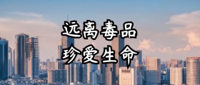 通用禁毒公众号封面