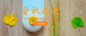 抽象麦穗黄色封面