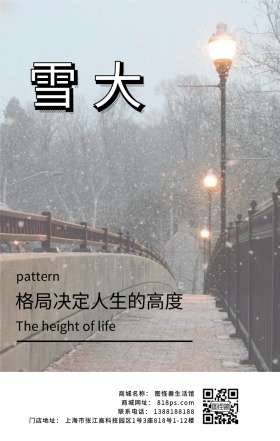 大雪道路小桥路灯飘雪白色问候节气日签