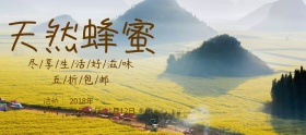 双十一简约蜂蜜促销海报banner
