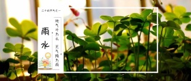 雨 水 地气升为云 天气降为雨 二十四节气之一 文艺小清新二十四节气雨水公众号封面