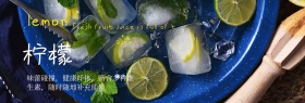 柠檬简约摄影创意banner