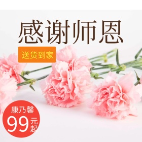 粉色浪漫康乃馨花教师节电商淘宝直通车主图
