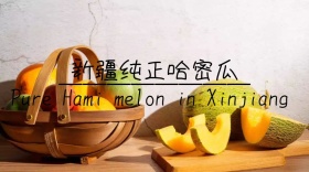 新疆哈密瓜宣传创意简约公众号封面模版