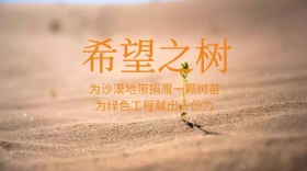希望工程红包公众号封面