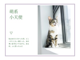 日系系萌系可爱小猫咪摄影治愈公众号配图