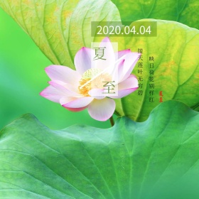 夏至诗句荷花清新绿色公众号配图