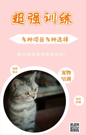 宠物培训 超强训练 贵宾护理 包教包会 多种项目多种选择 教会萌宠各种高能动作！ 宠物护理促销活动简约手机海报