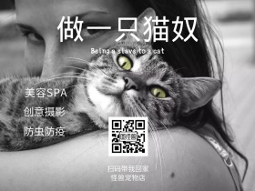 宠物店公众号配图