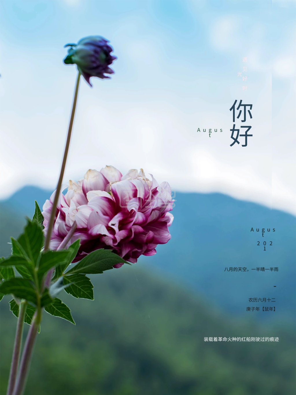 8月你好捌月海报唯美7月再见
