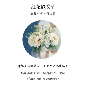立夏时令开红花酢浆草简约白色方形配图