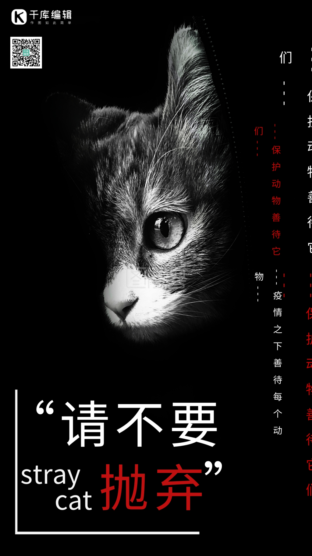 千库编辑原创简约流浪猫保护动物海报