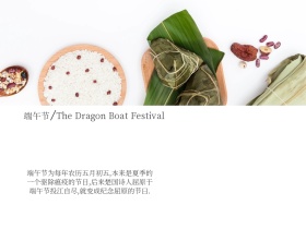 端午节粽子手绘简约公众号封面